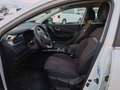 Renault Kadjar 1.5 dci energy Hypnotic 110cv Bianco - thumbnail 11