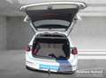 Volkswagen Golf Goal 1.5 eTSI+150PS+DSG+AHZV+Navi+ACC+DAB+ Azul - thumbnail 15