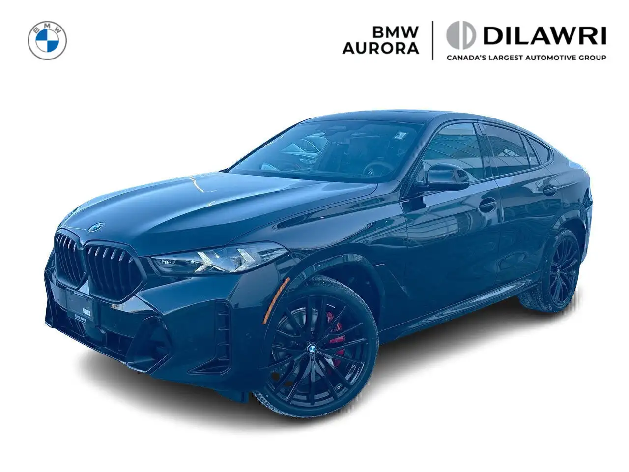 2026 BMW X6