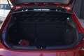 SEAT Leon Seat Leon 1.4 EcoTSI ACT 150 CV 5p. FR 110KW ANNO Rot - thumbnail 19