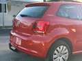 Volkswagen Polo Polo 3p 1.6 tdi Comfortline 90cv Tetto Rouge - thumbnail 8