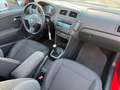 Volkswagen Polo Polo 3p 1.6 tdi Comfortline 90cv Tetto Rouge - thumbnail 13