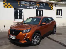 Peugeot 2008 BlueHDi 110 SetS BVM6 Active Business