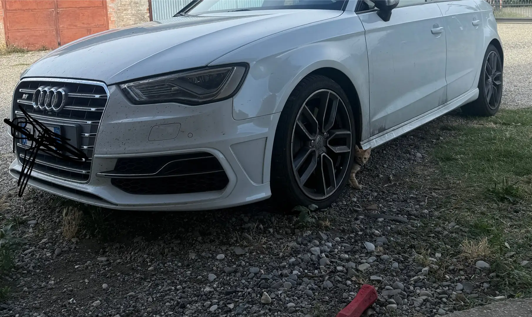 Audi S3 S3 Sportback 2.0 tfsi quattro s-tronic Bianco - 1