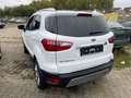 Ford EcoSport Titanium X TOP-ZUSTAND 1.HAND Weiß - thumbnail 6