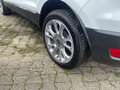 Ford EcoSport Titanium X TOP-ZUSTAND 1.HAND Weiß - thumbnail 10