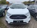 Ford EcoSport Titanium X TOP-ZUSTAND 1.HAND Weiß - thumbnail 2