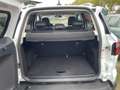 Ford EcoSport Titanium X TOP-ZUSTAND 1.HAND Weiß - thumbnail 7