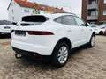 Jaguar E-Pace D150 SE 4WD LED Navi Kamera Pano PDC AHK Weiß - thumbnail 6