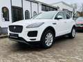 Jaguar E-Pace D150 SE 4WD LED Navi Kamera Pano PDC AHK Weiß - thumbnail 3