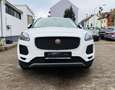 Jaguar E-Pace D150 SE 4WD LED Navi Kamera Pano PDC AHK Weiß - thumbnail 2