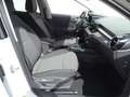 Skoda Fabia 1.0 TSI Drive Shz/AppC/Rkam/bhL/Col/5J.Gar Weiß - thumbnail 8