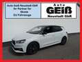 Skoda Fabia 1.0 TSI Drive Shz/AppC/Rkam/bhL/Col/5J.Gar Weiß - thumbnail 1