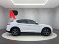 Alfa Romeo Stelvio Stelvio  2.2 TD  SPRINT rwd 190cv auto Bianco - thumbnail 6