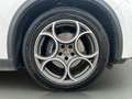 Alfa Romeo Stelvio Stelvio  2.2 TD  SPRINT rwd 190cv auto Wit - thumbnail 16