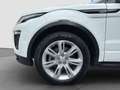 Land Rover Range Rover Evoque HSE Dynamic Navi Leder Xenon Weiß - thumbnail 9