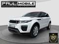 Land Rover Range Rover Evoque HSE Dynamic Navi Leder Xenon Weiß - thumbnail 3