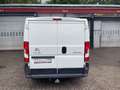 Citroen Jumper Kasten 30 L2H1 Profi BlueHDi 130 Weiß - thumbnail 10