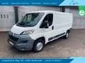Citroen Jumper Kasten 30 L2H1 Profi BlueHDi 130 Weiß - thumbnail 1