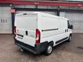 Citroen Jumper Kasten 30 L2H1 Profi BlueHDi 130 Weiß - thumbnail 6