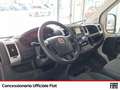 Fiat Ducato 33 mh1 2.3 mjt 120cv e6d-temp Bianco - thumbnail 8