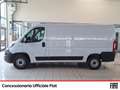 Fiat Ducato 33 mh1 2.3 mjt 120cv e6d-temp Bianco - thumbnail 2