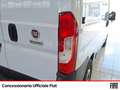 Fiat Ducato 33 mh1 2.3 mjt 120cv e6d-temp Bianco - thumbnail 15