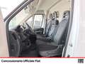 Fiat Ducato 33 mh1 2.3 mjt 120cv e6d-temp Bianco - thumbnail 7