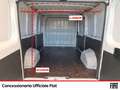 Fiat Ducato 33 mh1 2.3 mjt 120cv e6d-temp Bianco - thumbnail 14