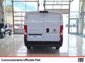 Fiat Ducato 33 mh1 2.3 mjt 120cv e6d-temp Bianco - thumbnail 3
