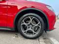 Alfa Romeo Stelvio 2.2 Turbodiesel 190 CV AT8 Q4 Sprint Rouge - thumbnail 12