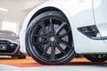 Bentley Continental GT Coupe GT W12  FIRST EDITION Weiß - thumbnail 16
