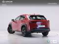 Lexus UX 250h BUSINESS AUTO 2.0 184 5P Rosso - thumbnail 2
