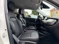 Fiat 500X 1.0 T3 120 CV Sport Bianco - thumbnail 14