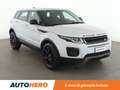 Land Rover Range Rover Evoque 2.0 Td4 Pure 150 CV Bianco - thumbnail 8