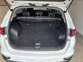 Kia Sportage 1.6 CRDI 136 CV DCT7 2WD Mild Hybrid Style Gris - thumbnail 7