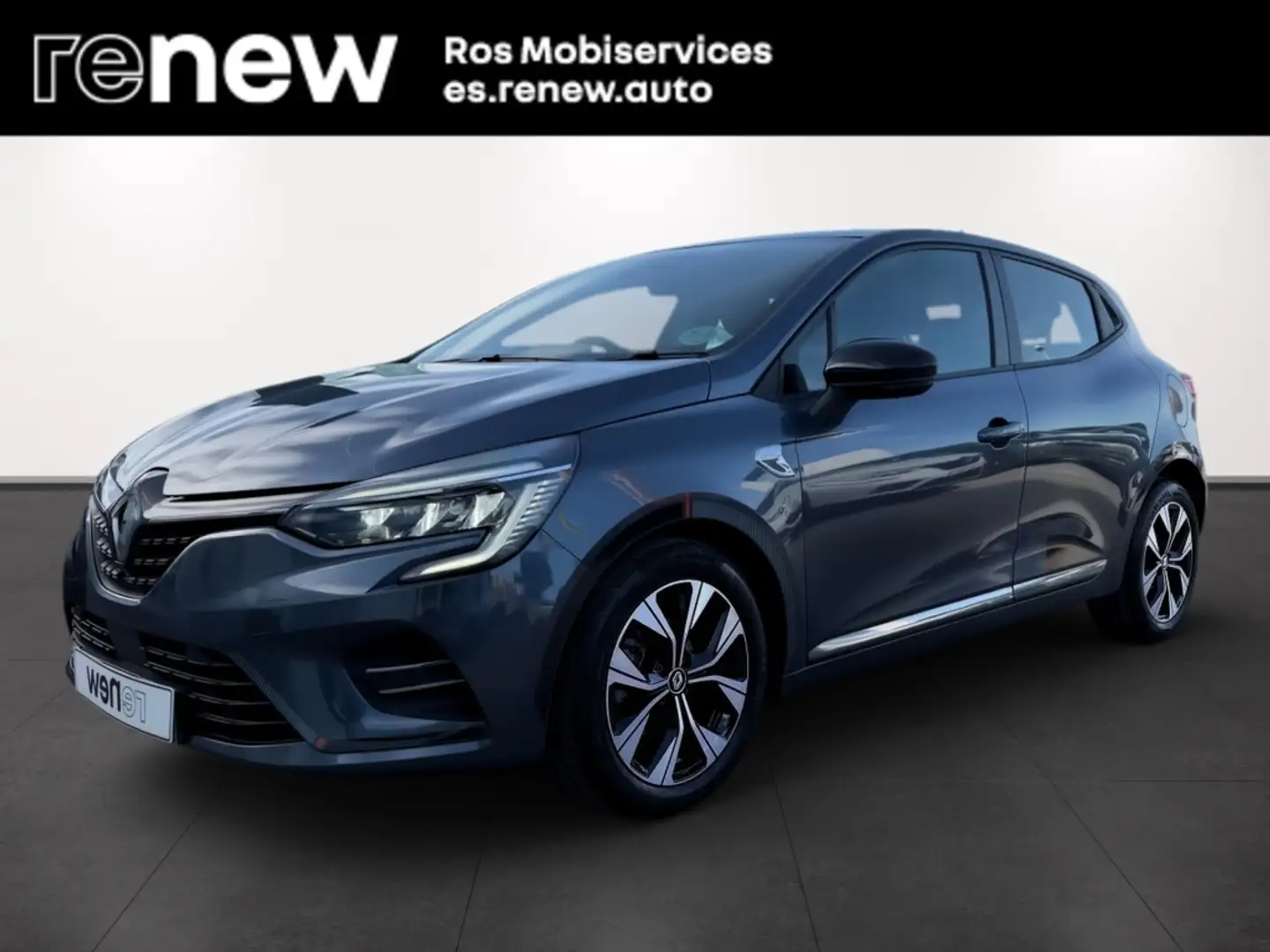 Renault Clio TCe Serie Limitada Limited 67kW Gris - 1