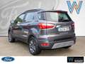Ford EcoSport Titanium Grigio - thumbnail 4