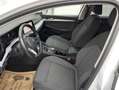 Volkswagen Golf Variant Life mHeV DSG Weiß - thumbnail 21
