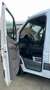 Mercedes-Benz Sprinter*II*319*CDI*AbschW*Liegeplatz*SH*Seil-Wi Blanc - thumbnail 9