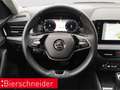 Skoda Kamiq 1.5 TSI DSG Selection ACC NAVI RFK PDC LINK KEYLES Grau - thumbnail 14