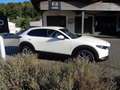 Mazda CX-30 2.5L e-SKYACTIV G 140ps 6AT FWD Exclusive-line Weiß - thumbnail 5
