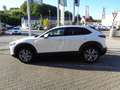 Mazda CX-30 2.5L e-SKYACTIV G 140ps 6AT FWD Exclusive-line Weiß - thumbnail 9
