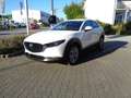 Mazda CX-30 2.5L e-SKYACTIV G 140ps 6AT FWD Exclusive-line Weiß - thumbnail 2