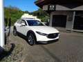 Mazda CX-30 2.5L e-SKYACTIV G 140ps 6AT FWD Exclusive-line Weiß - thumbnail 4