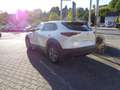 Mazda CX-30 2.5L e-SKYACTIV G 140ps 6AT FWD Exclusive-line Weiß - thumbnail 8