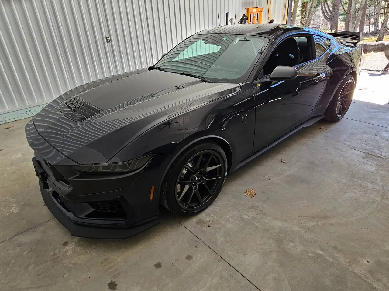 Ford Mustang photo Ford Mustang
