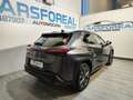 Lexus UX 250h F Sport 2WD Gris - thumbnail 7