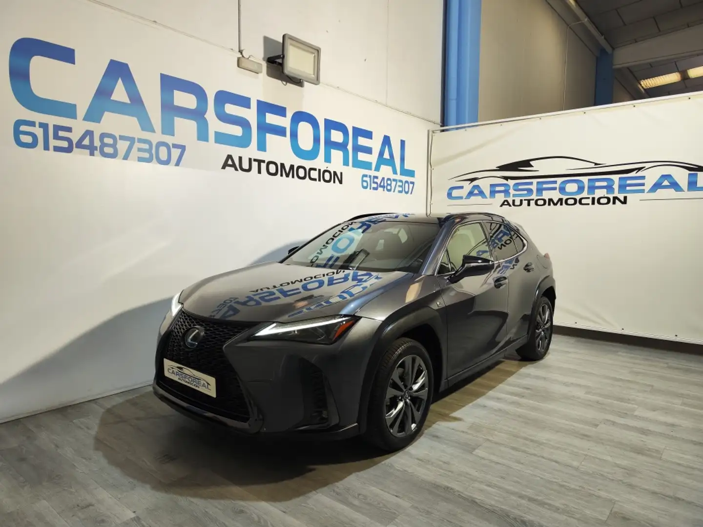 Lexus UX 250h F Sport 2WD Gris - 2