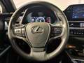 Lexus UX 250h F Sport 2WD Gris - thumbnail 15